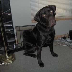 Meet your Posher, Ed